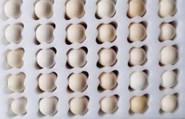 鸡蛋珍珠棉案例